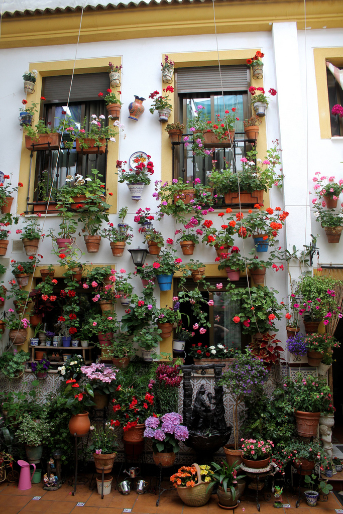 Fiesta de los Patios de Córdoba