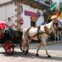 Language courses in Coast locations in Spain.